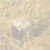 <walking around taking a glance at ground - of autume mountain>, 2000
